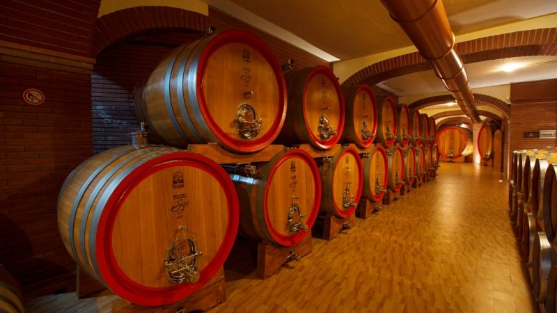 Gabala Wine Tasting Tour